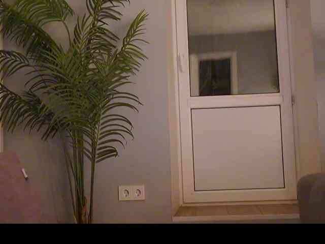 Varvara- webcam