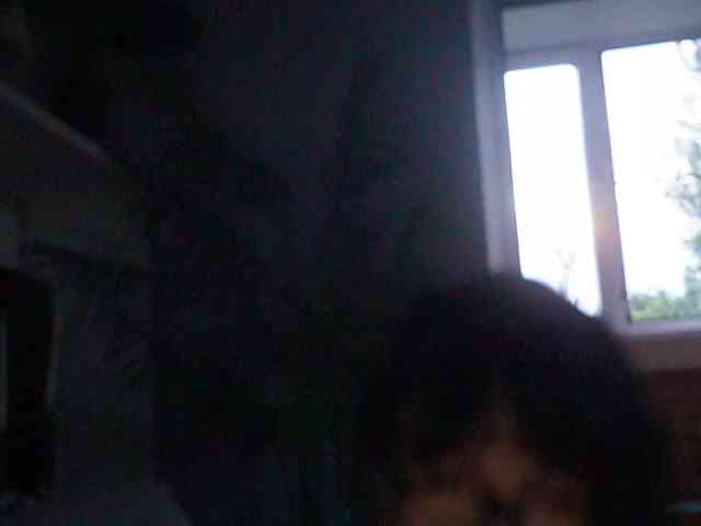 Varvara- webcam