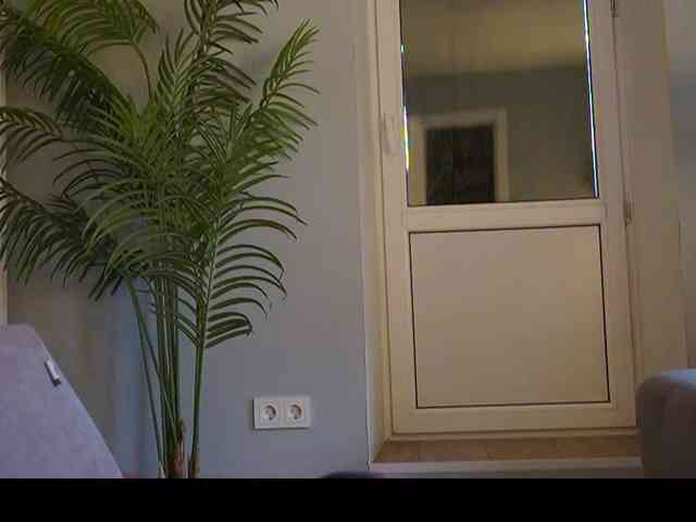 Varvara- webcam