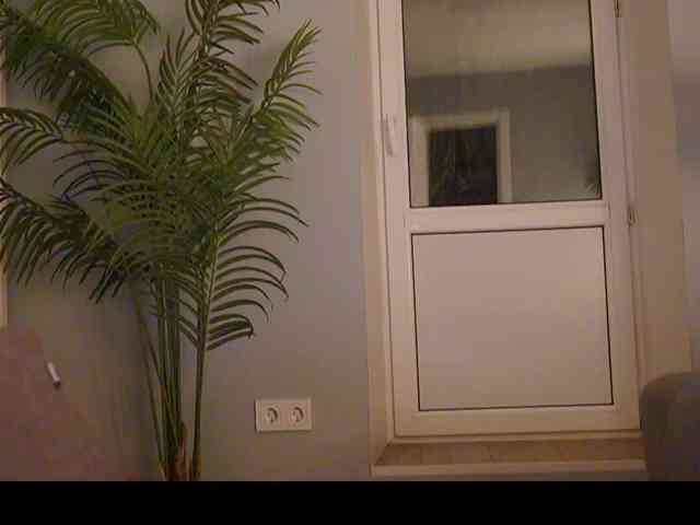 Varvara- webcam