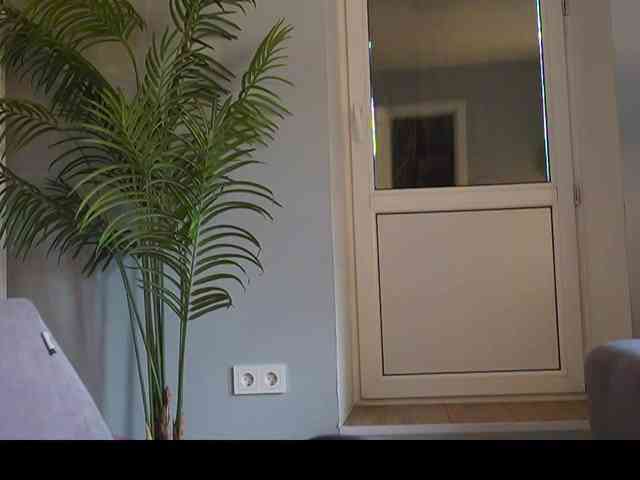 Varvara- webcam