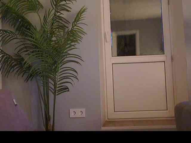 Varvara- webcam