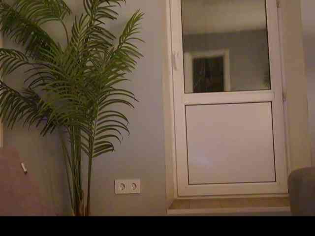 Varvara- webcam