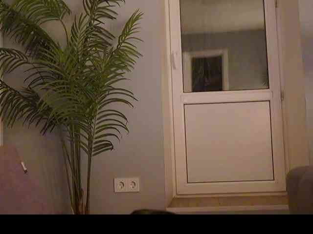 Varvara- webcam