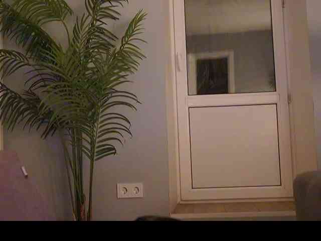 Varvara- webcam