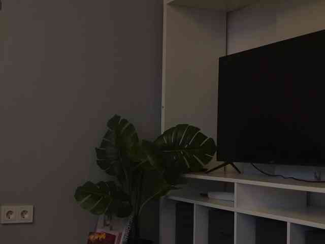 Varvara- webcam