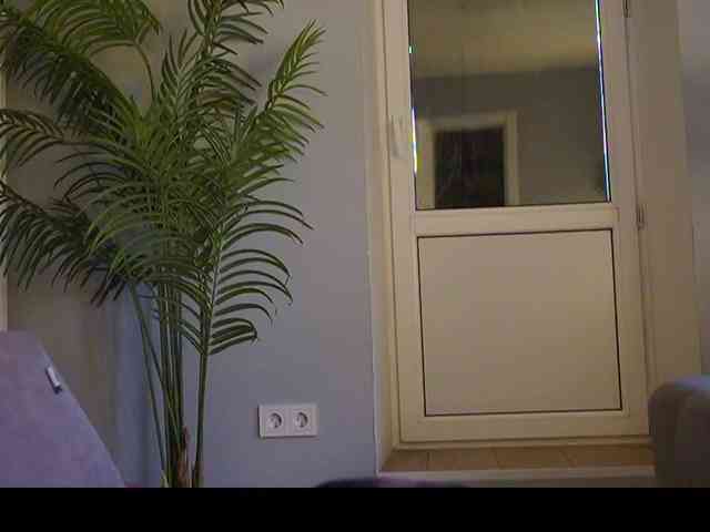 Varvara- webcam