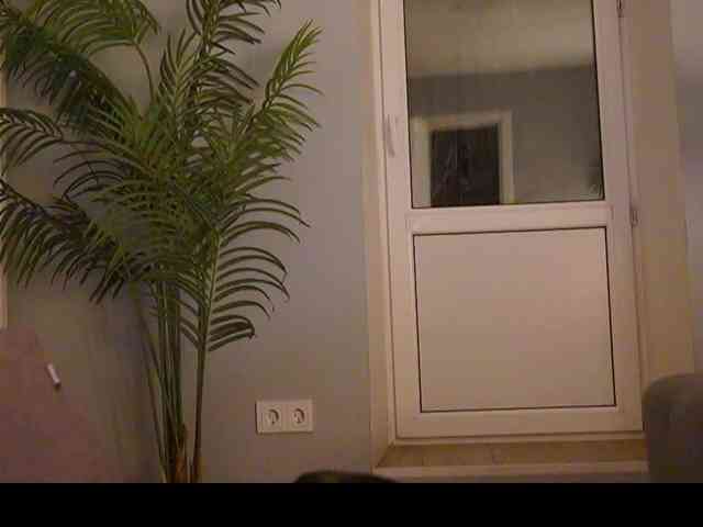 Varvara- webcam