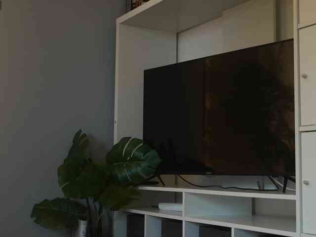 Varvara- webcam