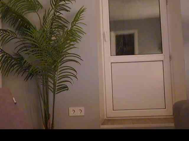 Varvara- webcam