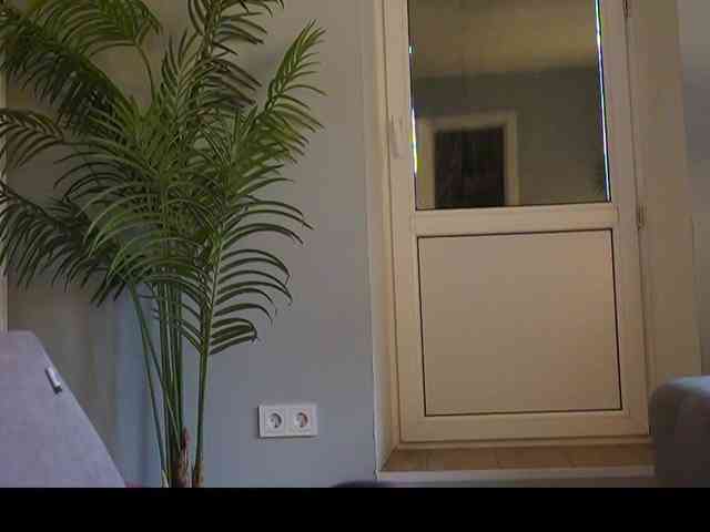 Varvara- webcam