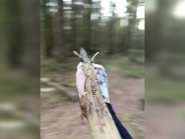 Hotksy's BongaCams profile