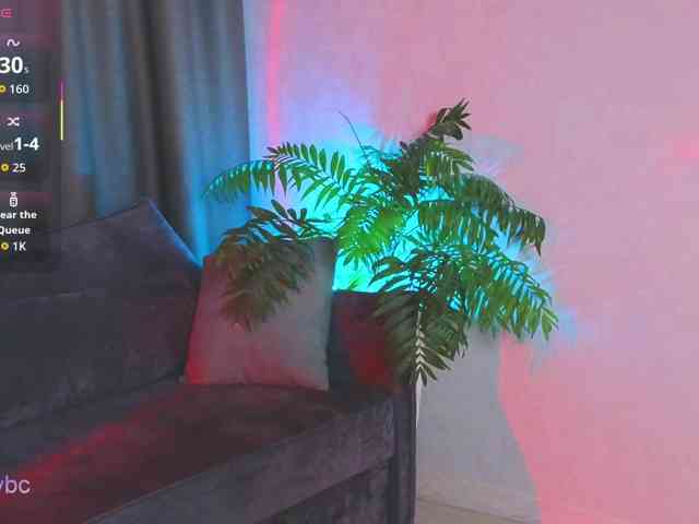 HotKsy webcam