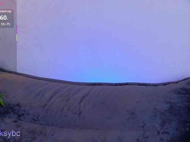 HotKsy webcam
