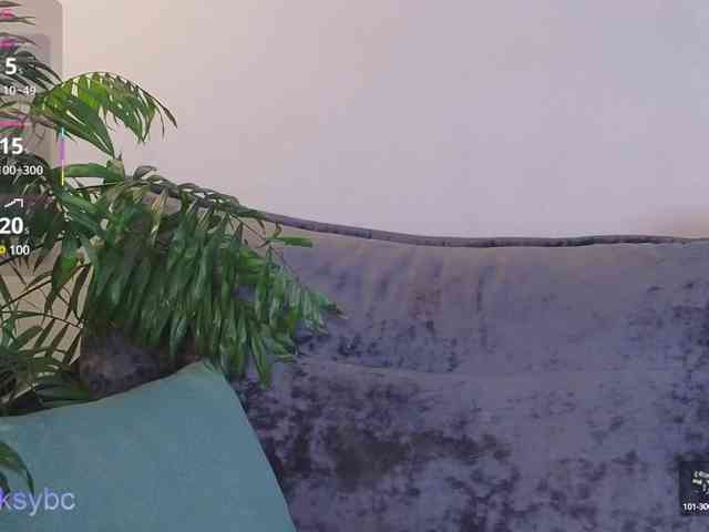 HotKsy webcam