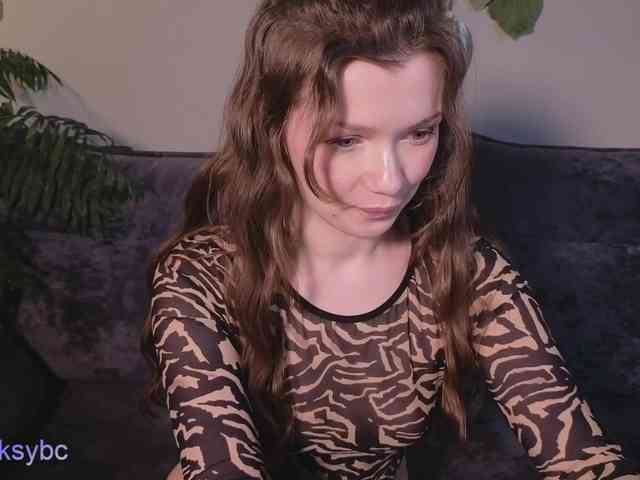 HotKsy webcam