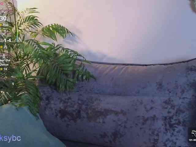 HotKsy webcam
