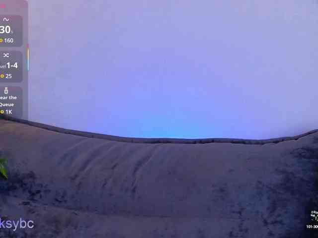 HotKsy webcam
