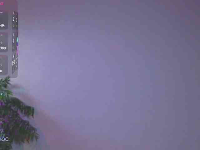 HotKsy webcam