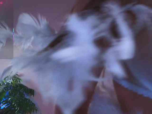 HotKsy webcam