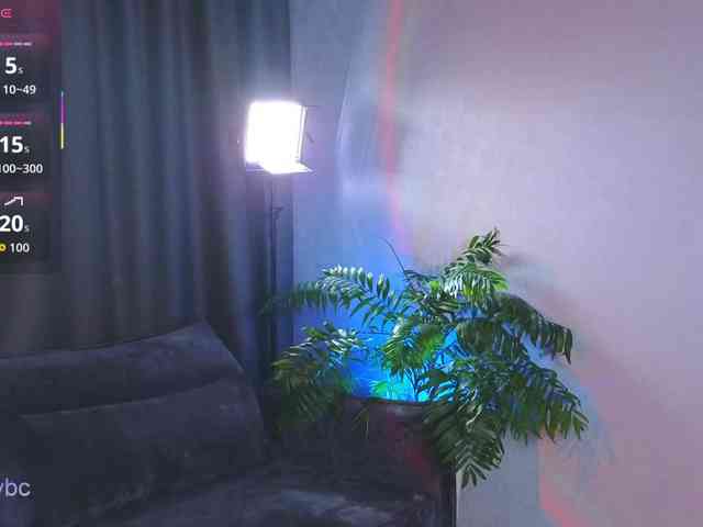 HotKsy webcam