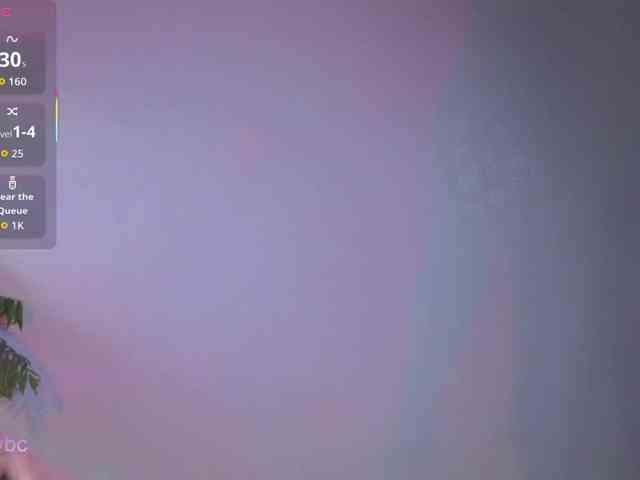 HotKsy webcam