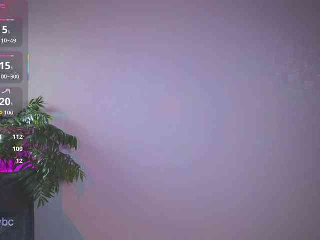 HotKsy webcam
