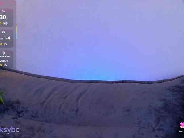 HotKsy webcam