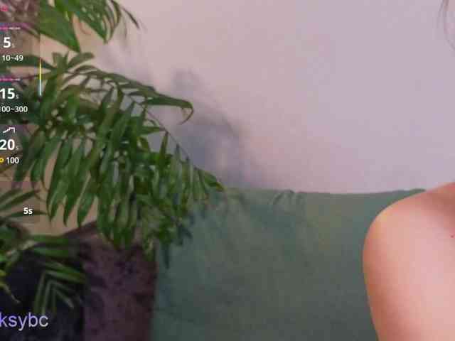 HotKsy webcam