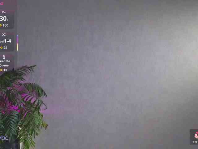 HotKsy webcam