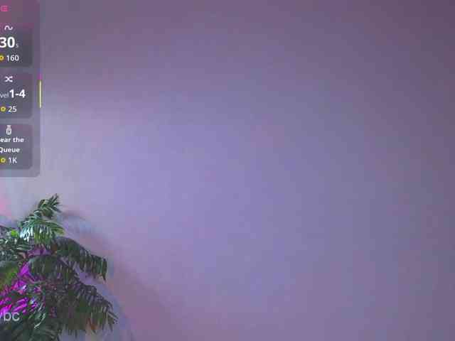 HotKsy webcam