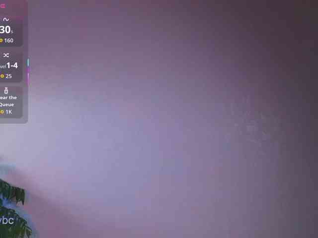 HotKsy webcam