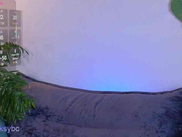 HotKsy webcam