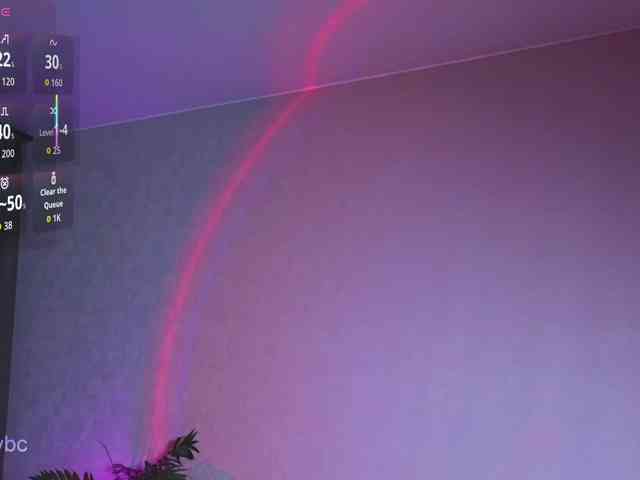 HotKsy webcam