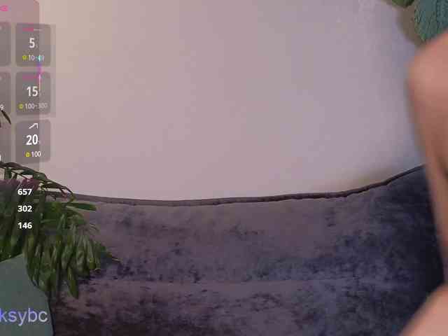 HotKsy webcam