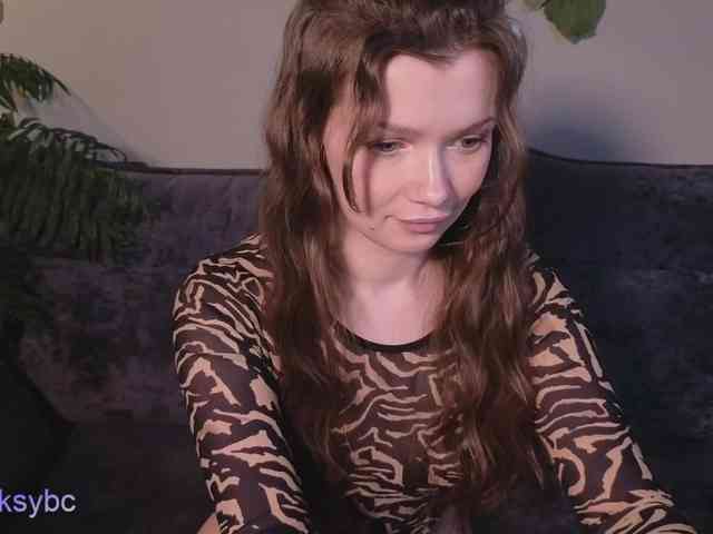 HotKsy webcam