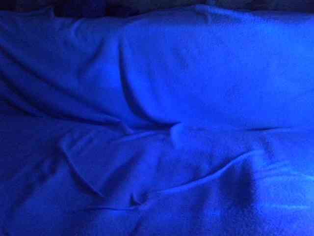 Gella-Rose webcam