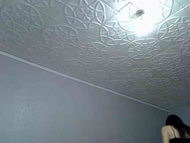 hellshell300 webcam