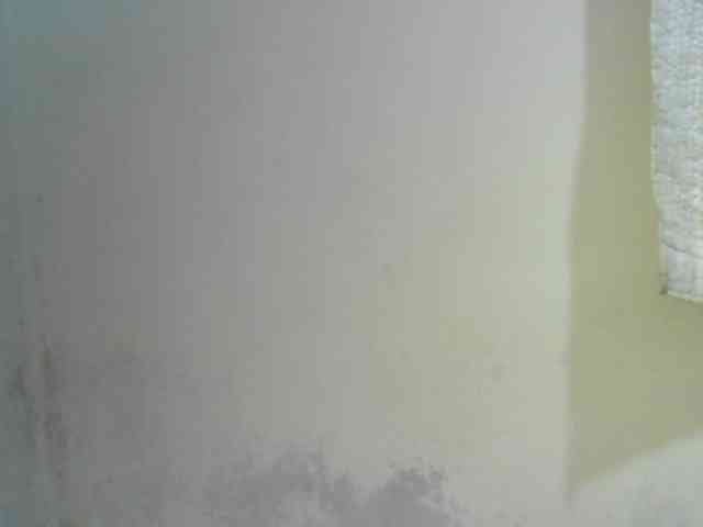 princessAria webcam