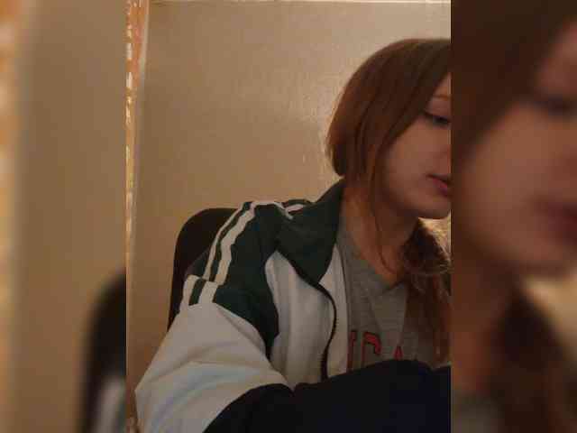 GoldyFox webcam