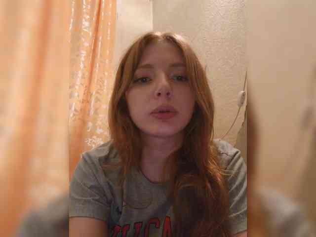 GoldyFox webcam