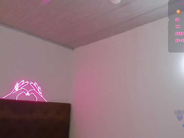 Palmerfox-tay webcam