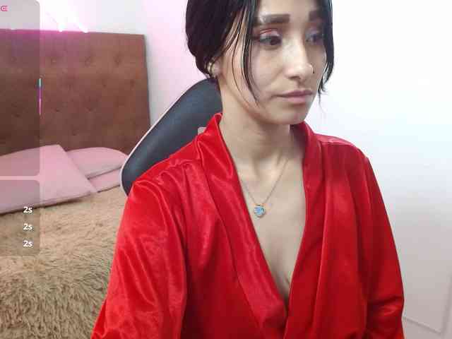 Palmerfox-tay webcam