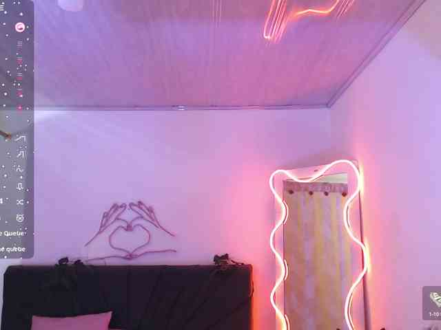 Palmerfox-tay webcam