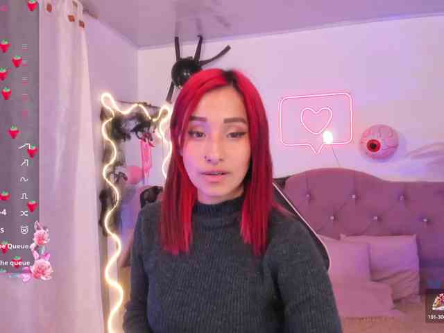 Palmerfox-tay webcam