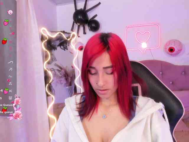 Palmerfox-tay webcam