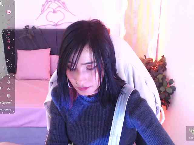 Palmerfox-tay webcam