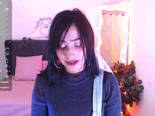 Palmerfox-tay webcam