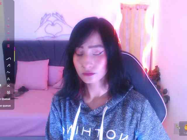 Palmerfox-tay webcam