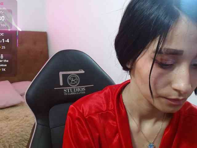 Palmerfox-tay webcam